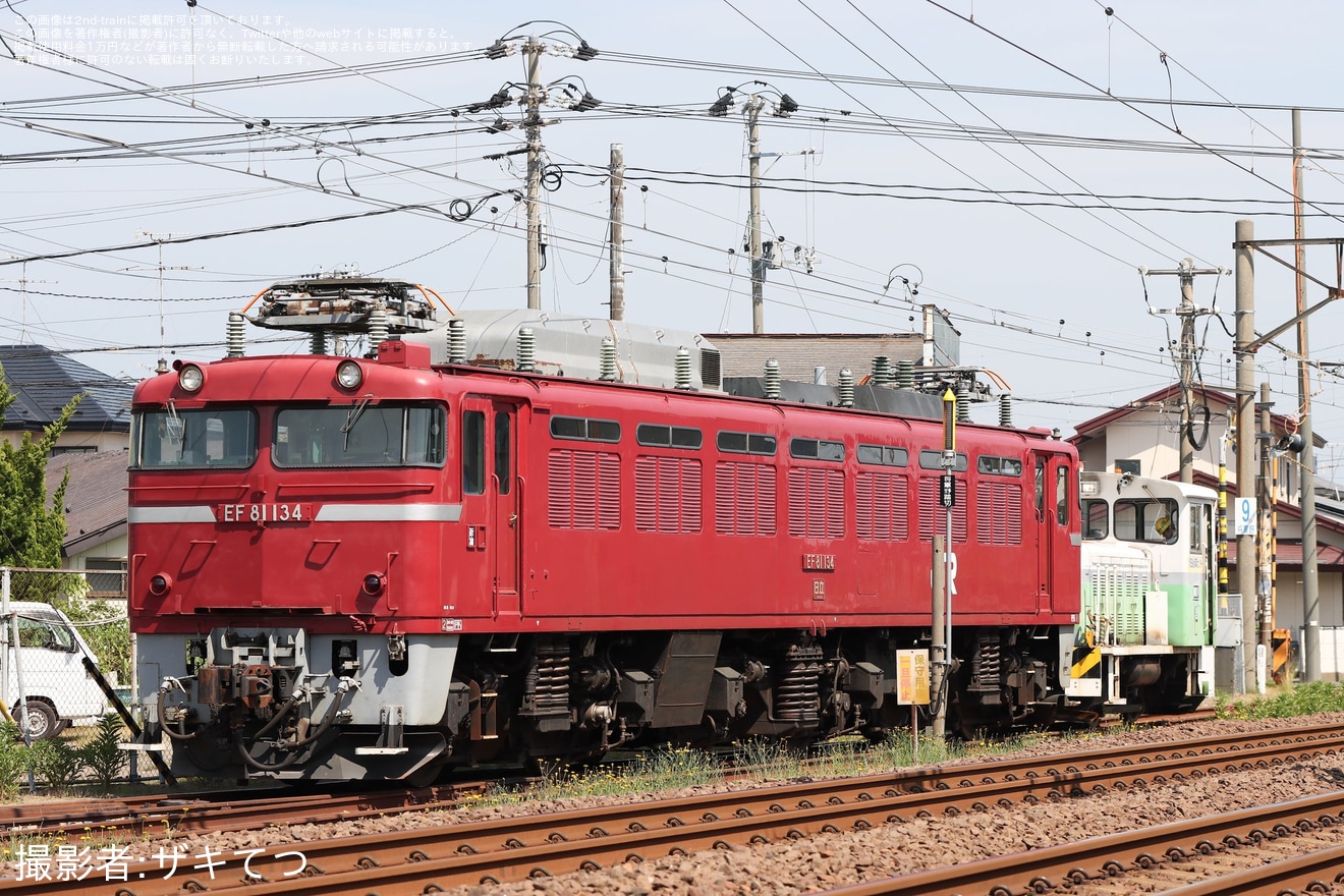 【JR東】EF81-134が秋田総合車両センターで構内入換の拡大写真