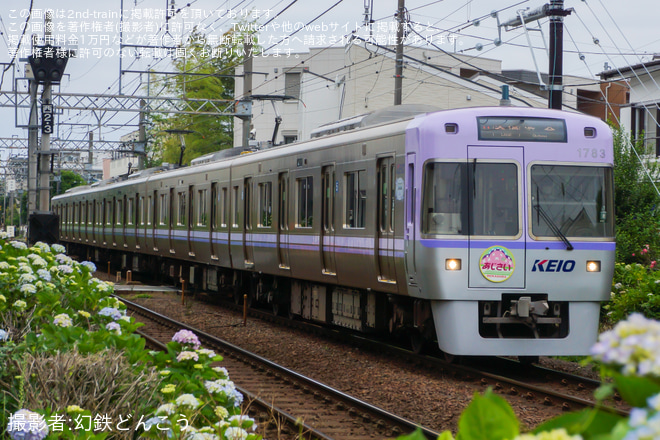 【京王】1000系1783Fに「あじさい」ヘッドマーク掲出（5枚目）