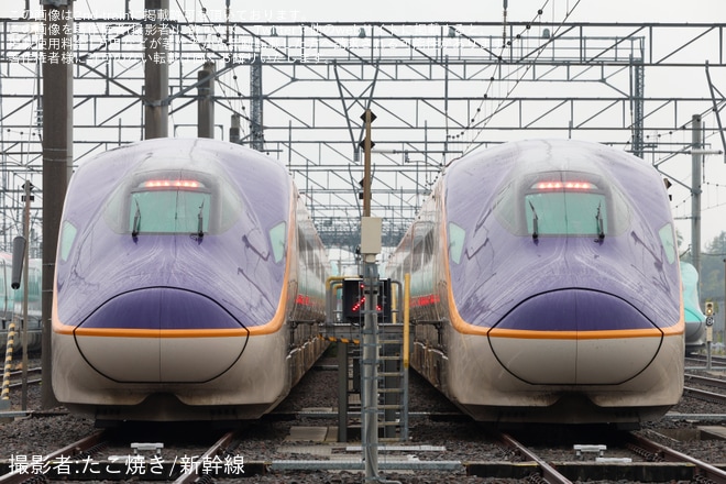 【JR東】那須塩原電留線「新幹線車両早朝撮影会」開催 - 那須塩原電留線にて撮影
