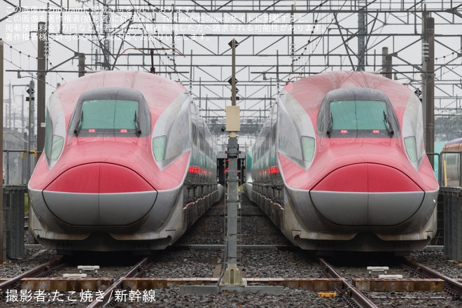【JR東】那須塩原電留線「新幹線車両早朝撮影会」開催 - 那須塩原電留線にて撮影