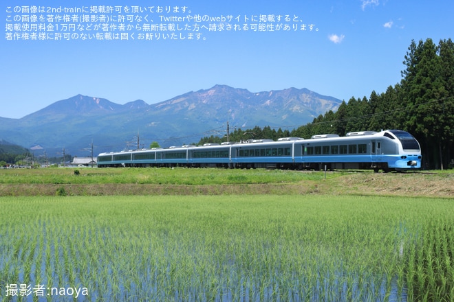 【JR東】臨時特急「常磐日光号」を運行(2026年)を不明で撮影した写真