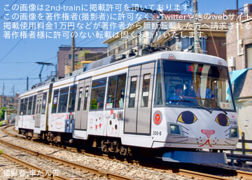 【東急】世田谷線 300系308F「招き猫ラッピング」 貸切電車