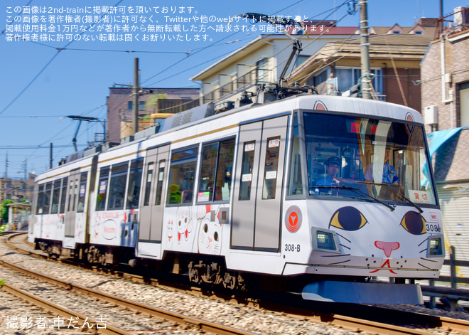 【東急】世田谷線 300系308F「招き猫ラッピング」 貸切電車を松原～山下間で撮影した写真