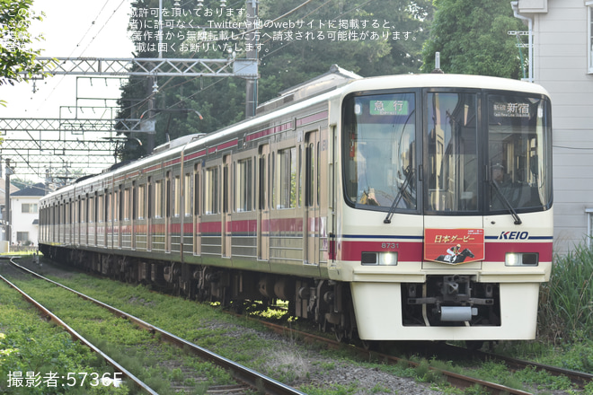 【京王】日本ダービー開催に伴い臨時列車を運転(202605)を府中競馬正門前～東府中間で撮影した写真