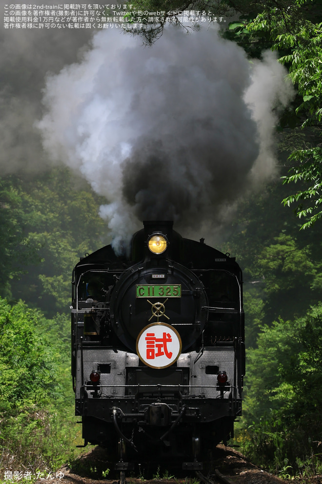【東武】SL大樹「土津」試運転（3枚目）