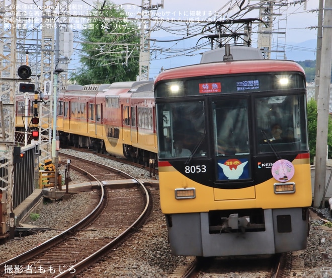 【京阪】「初夏の花」ヘッドマークを取り付けて運行（4枚目）