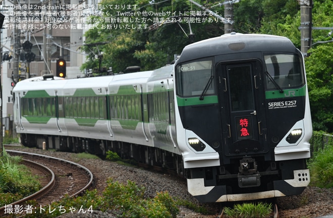 【JR東】臨時特急「鎌倉満喫青梅」を運行(2026年6月)（1枚目）