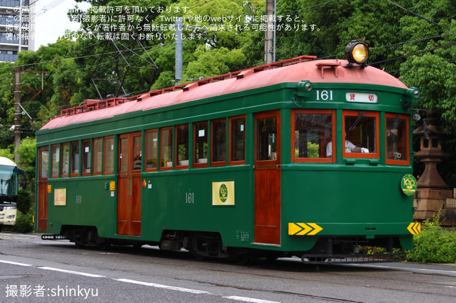 【阪堺】モ161号車を使用した貸切列車が運転 - 住吉～住吉鳥居前間にて撮影