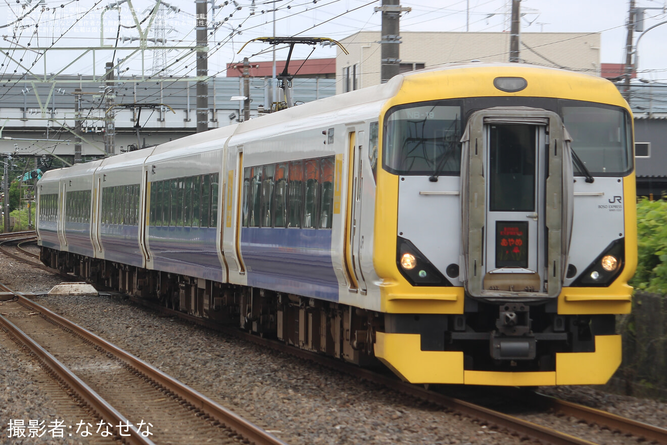 【JR東】E257系500番台使用 臨時特急「あやめ81/82号」運転の拡大写真