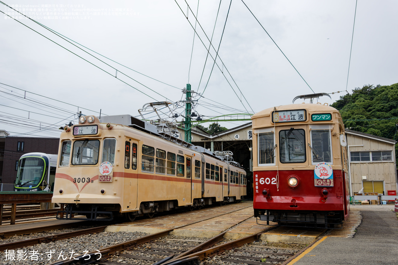 【広電】福岡からの車両移籍50周年・記念撮影会開催の拡大写真