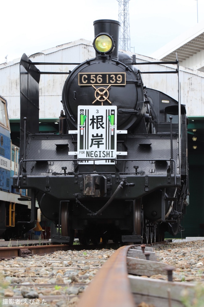 【神奈臨】「貨物の裏側に潜入!根岸駅・横浜本牧駅の探検＆レアなSL機関車撮影会」開催 - 横浜本牧駅にて撮影