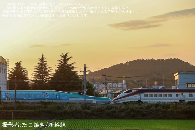 【JR東】E3系L72編成の「つばさ、つなぐ。」ラッピングが撤去を不明で撮影した写真
