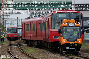 byやまどり