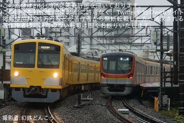 Uploaded Picture