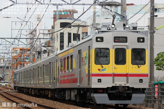 【東急】1000系1503F長津田車両工場入場回送(202606)を自由が丘～九品仏間で撮影した写真