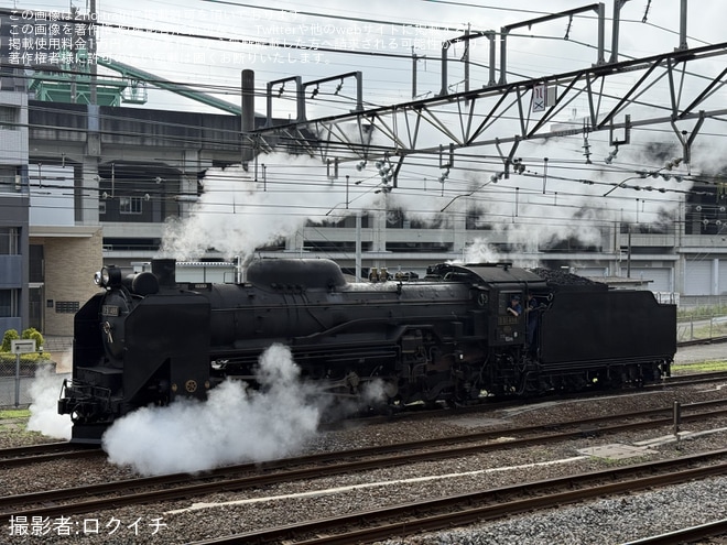 【JR東】D51-498が構内試運転を不明で撮影した写真