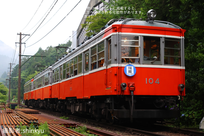 【箱根】100形モハ1形・モハ2形「復刻行先方向板」掲出運行を小涌谷～彫刻の森間で撮影した写真