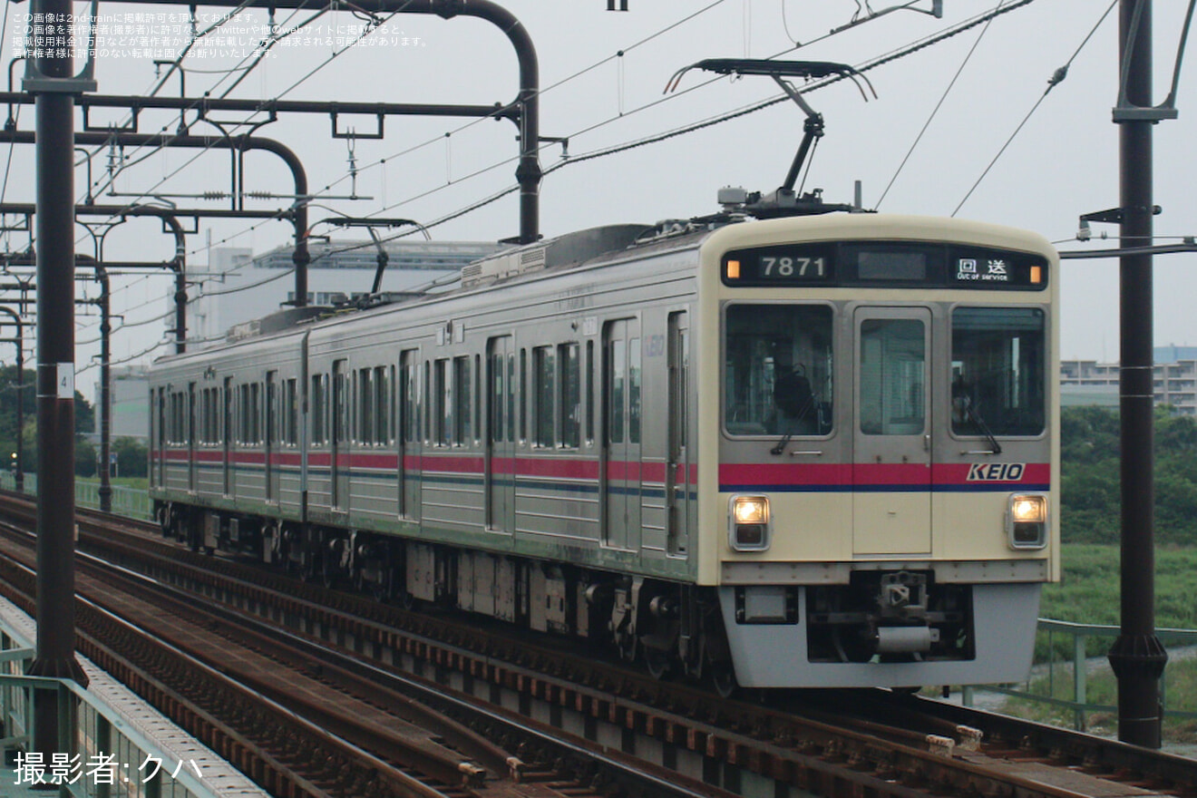 【京王】東京競馬場花火2026 『SHOGO HAMADA　50th ANNIVERSARY FIREWORKS 2026 　Fの拡大写真