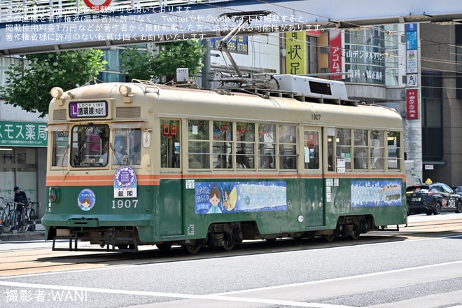 【広電】七夕電車「おりひめ号」・「ひこぼし号」運行を不明で撮影した写真