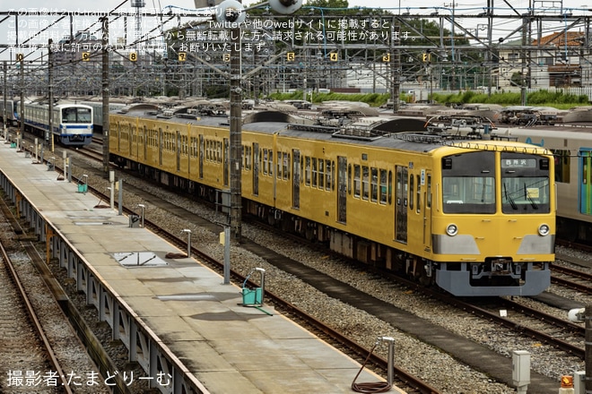 【西武】新101系263Fに「使用休止中」札が掲出されるを小手指車両基地付近で撮影した写真