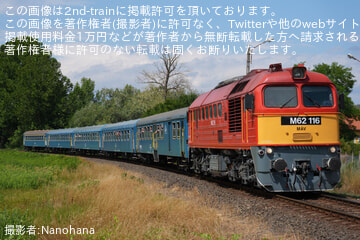 byNanohana
