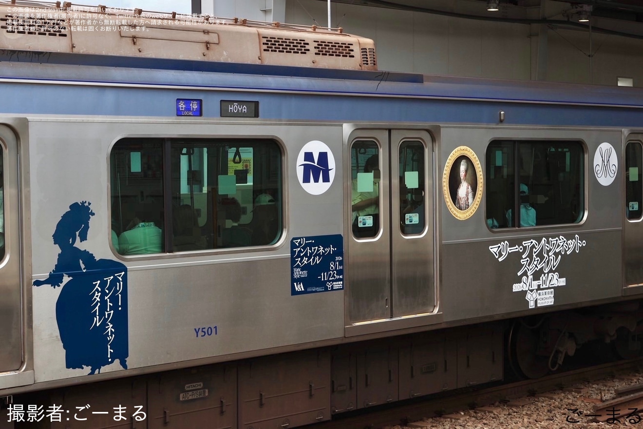 【横高】Y500系Y511Fに「『マリー・アントワネット・スタイル』ラッピングトレイン」の拡大写真