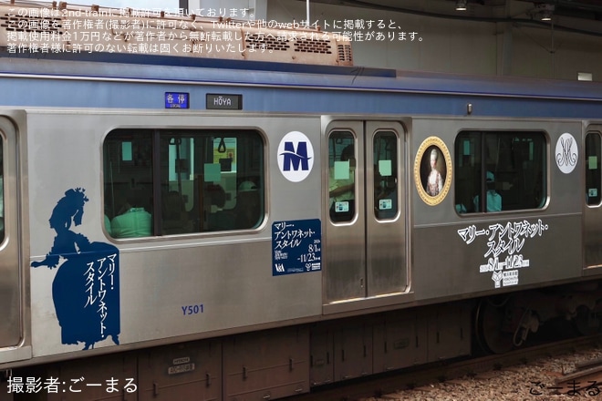 【横高】Y500系Y511Fに「『マリー・アントワネット・スタイル』ラッピングトレイン」を不明で撮影した写真