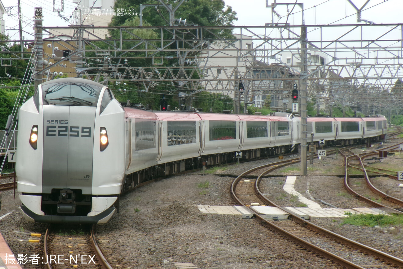 【JR東】成田エクスプレスが成田駅に臨時停車(202607)の拡大写真