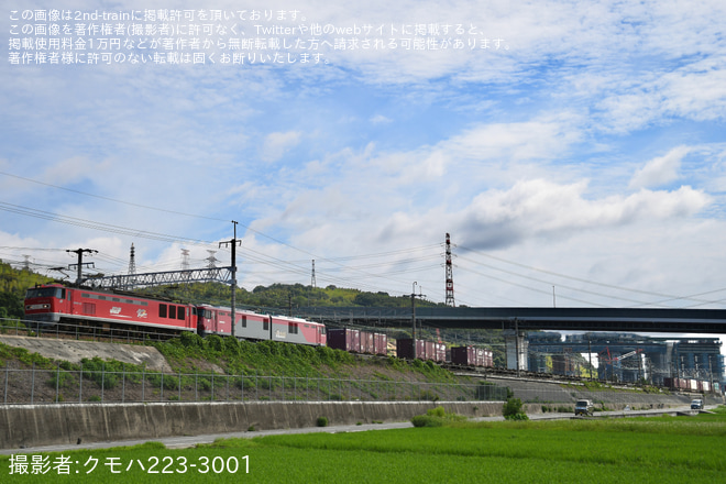 【JR貨】EH500-69が3092レ・2073レで門司機関区へ回送 - 島本～高槻間にて撮影