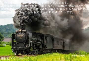 【JR西】D51-200がヘッドマークなし・逆向き編成で試運転
