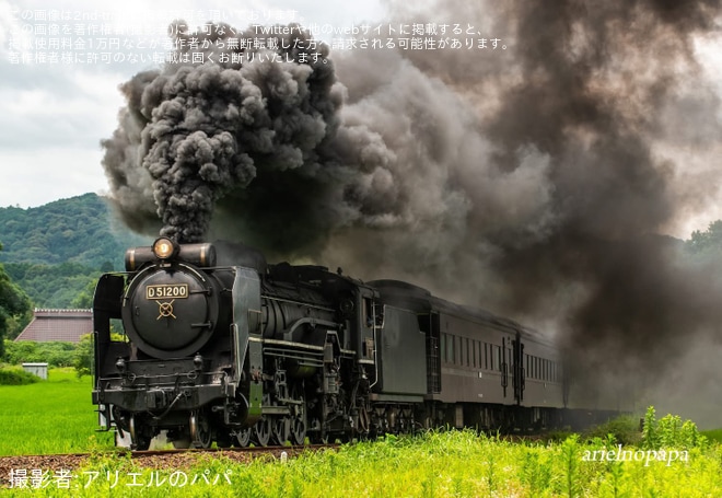 【JR西】D51-200がヘッドマークなし・逆向き編成で試運転（1枚目）