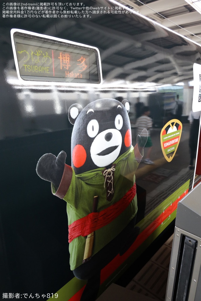 【JR九】800系U006編成「くまモンアドベンチャー号」運行開始（3枚目）