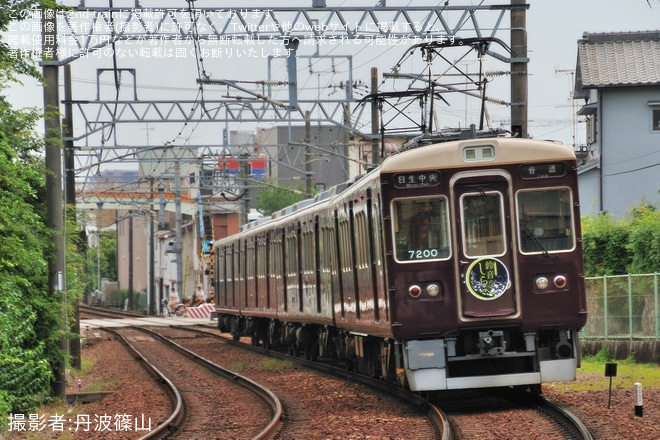 【能勢電】「のせでん 風鈴電車 2026」運行開始 - 絹延橋～滝山間にて撮影