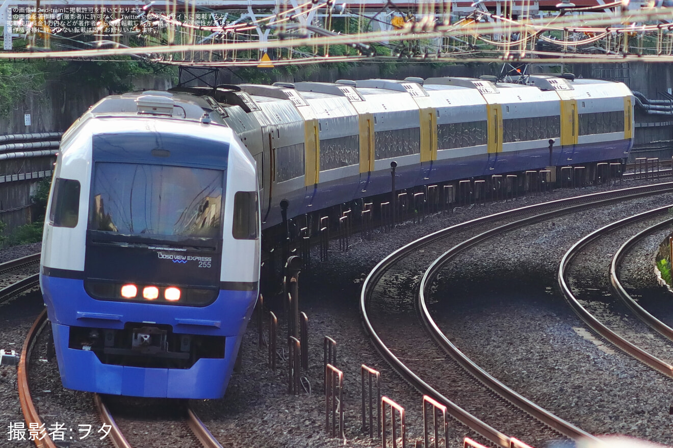 【JR東】255系マリBe-03編成を使用した臨時特急「新宿わかしお1号・2号」運転(2026年7月) の拡大写真