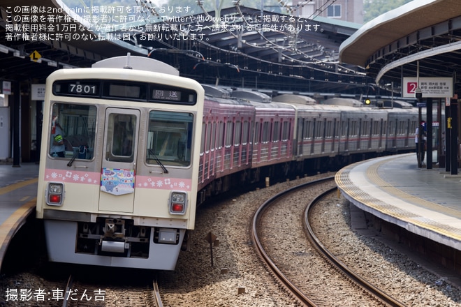 【京王】7000系7801F+7703F若葉台へ回送を京王稲田堤駅で撮影した写真