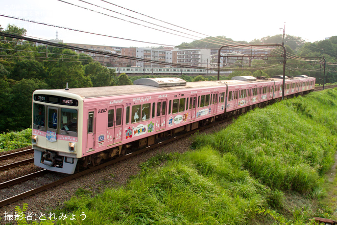 【京王】7000系7801F試運転を不明で撮影した写真