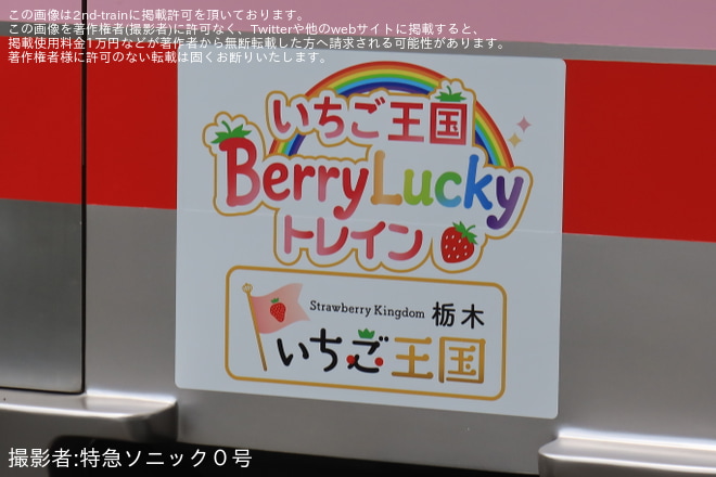 【東武】「ラッピング車両『いちご王国BerryLucky トレイン』一番列車乗車ツアー」が催行を春日部駅で撮影した写真