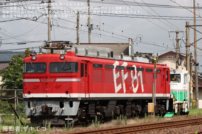 【JR東】EF81-95が秋田総合車両ベースで構内入換を秋田総合車両ベース付近で撮影した写真