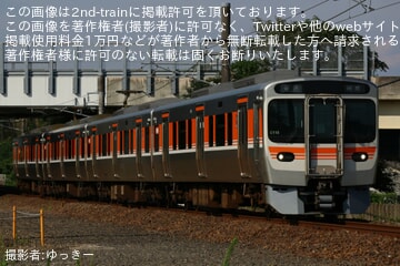 【JR海】315系C110編成が岡崎花火大会に伴い愛知環状鉄道線で運転