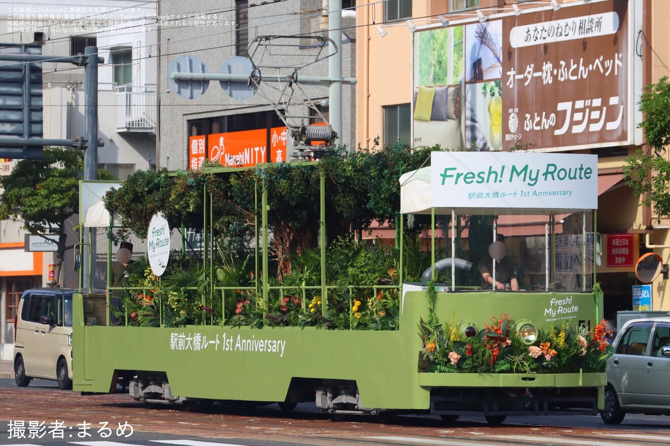 【広電】貨50形51号「駅前大橋ルート開業1周年企画電車」運行の拡大写真