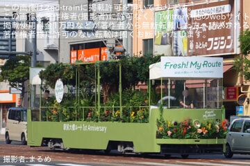 【広電】貨50形51号「駅前大橋ルート開業1周年企画電車」運行