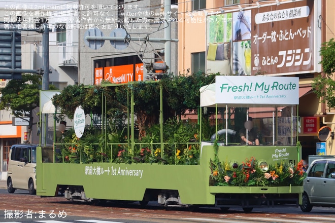 【広電】貨50形51号「駅前大橋ルート開業1周年企画電車」運行を不明で撮影した写真