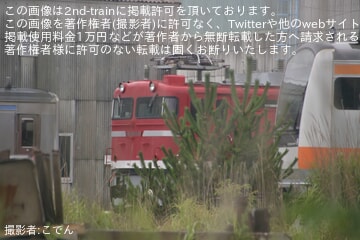【JR東】EF81-95が解体作業場所付近に留置