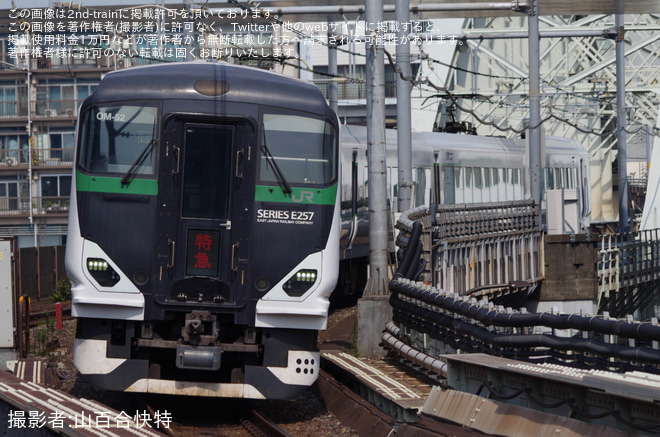 【JR東】E257系OM-52編成で特急「なぎ」を運転を両国駅で撮影した写真