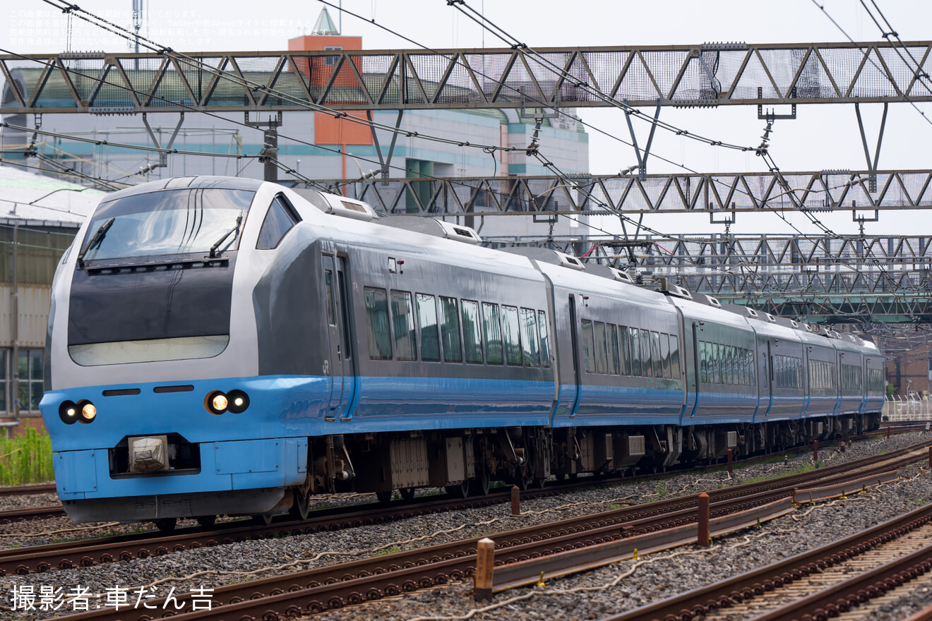 【JR東】E653系K71編成による長岡花火臨時列車が横浜発で運転の拡大写真