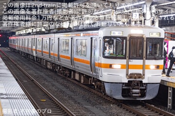 【JR海】清水みなと祭りに伴う臨時列車を313系6両編成で運転