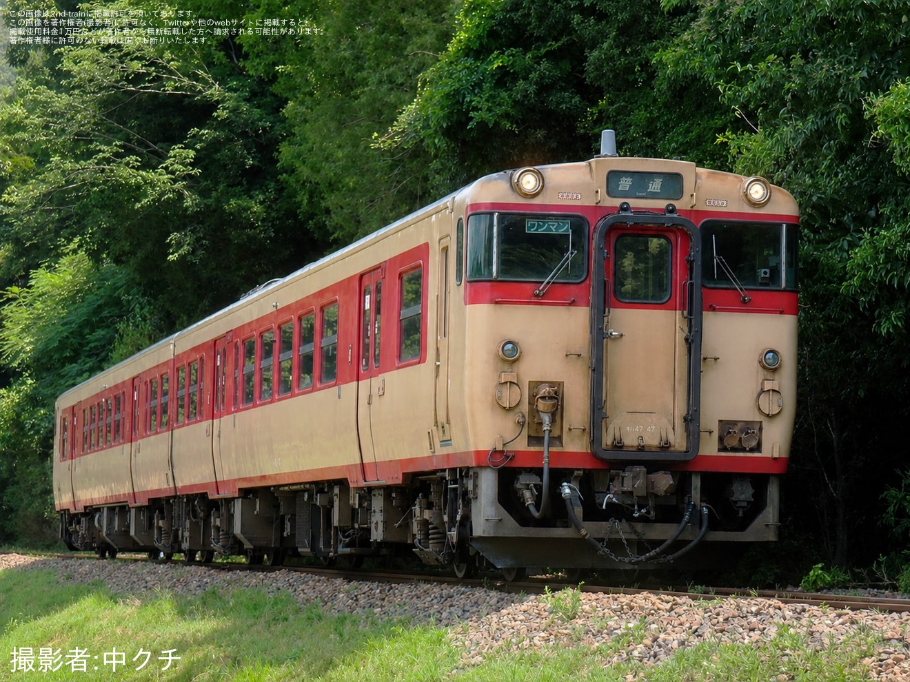 【JR西】キハ47形「ノスタルジー」が芸備線で団体臨時列車に充当の拡大写真