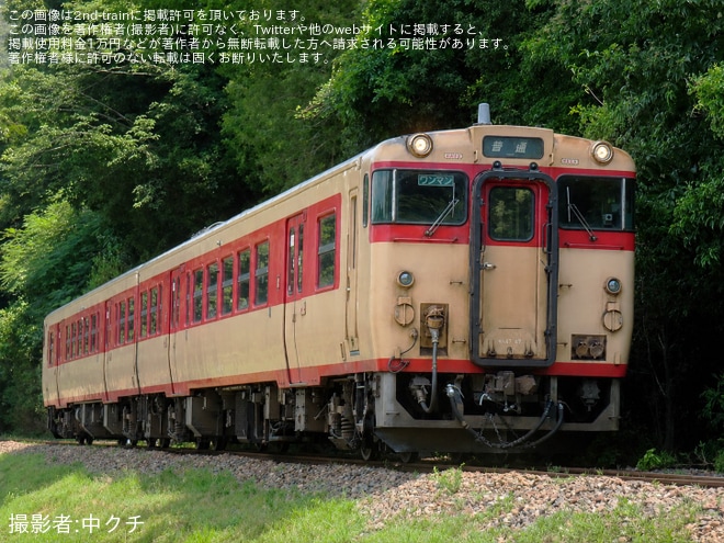 【JR西】キハ47形「ノスタルジー」が芸備線で団体臨時列車に充当（1枚目）