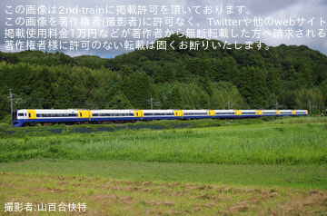by山百合快特