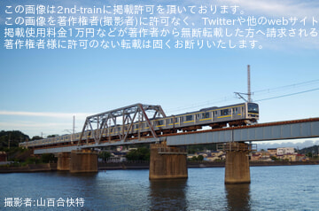 by山百合快特